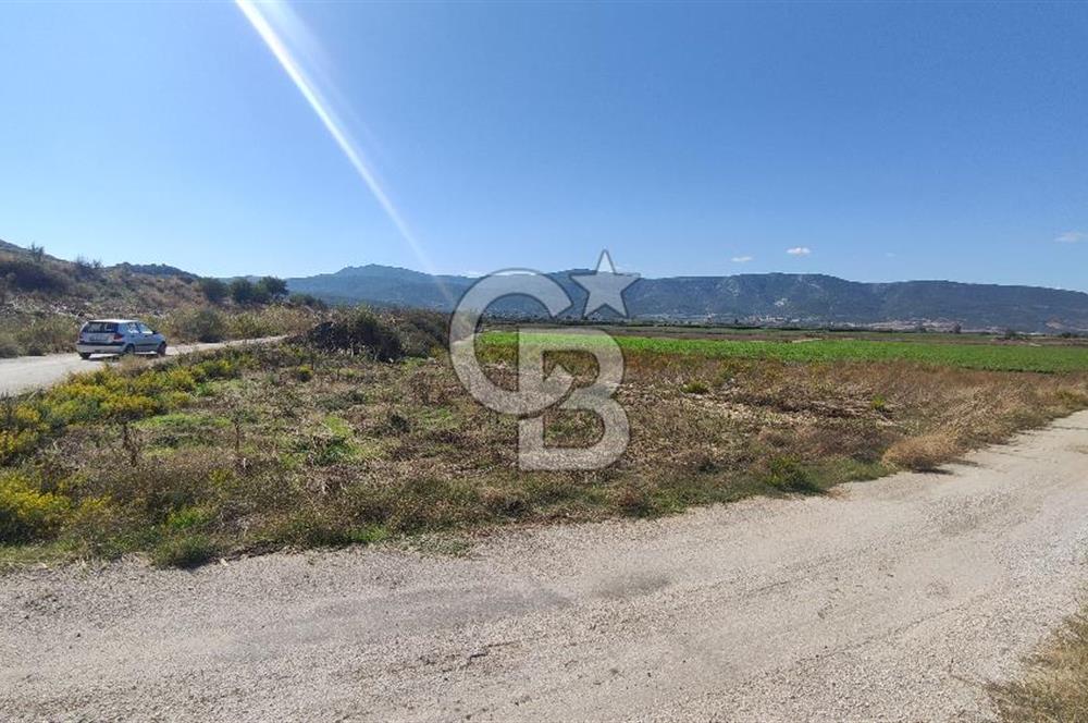 İZMİR TORBALI YENİKÖY SATILIK 2.410 M2 MÜSTAKİL TAPULU TARLA