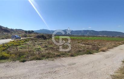 İZMİR TORBALI YENİKÖY SATILIK 2.410 M2 MÜSTAKİL TAPULU TARLA