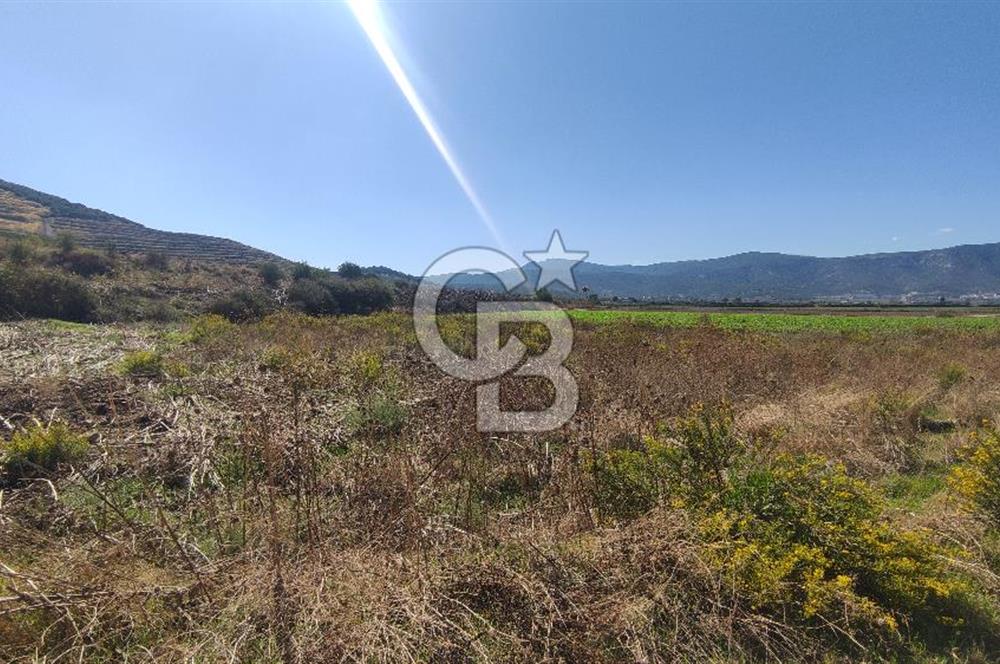 İZMİR TORBALI YENİKÖY SATILIK 2.410 M2 MÜSTAKİL TAPULU TARLA