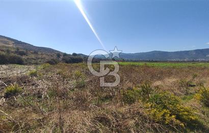 İZMİR TORBALI YENİKÖY SATILIK 2.410 M2 MÜSTAKİL TAPULU TARLA