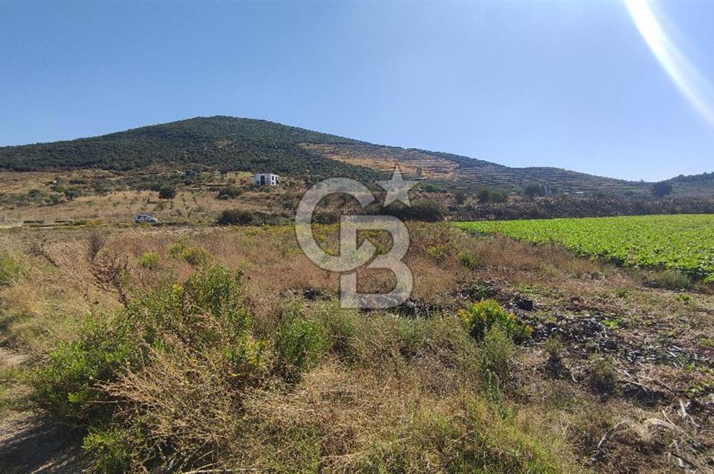 İZMİR TORBALI YENİKÖY SATILIK 2.410 M2 MÜSTAKİL TAPULU TARLA