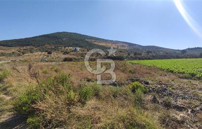 İZMİR TORBALI YENİKÖY SATILIK 2.410 M2 MÜSTAKİL TAPULU TARLA