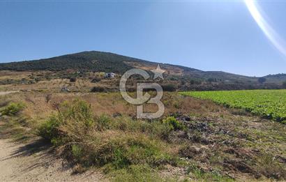 İZMİR TORBALI YENİKÖY SATILIK 2.410 M2 MÜSTAKİL TAPULU TARLA