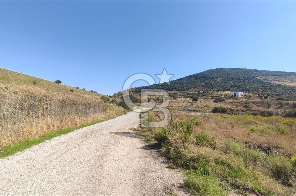 İZMİR TORBALI YENİKÖY SATILIK 2.410 M2 MÜSTAKİL TAPULU TARLA