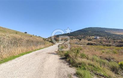 İZMİR TORBALI YENİKÖY SATILIK 2.410 M2 MÜSTAKİL TAPULU TARLA