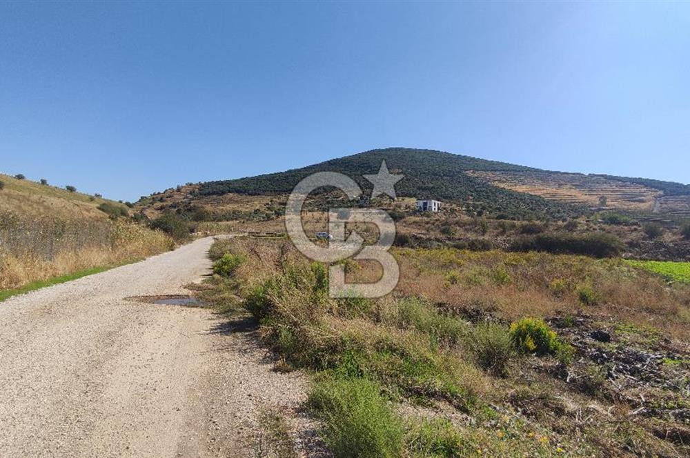 İZMİR TORBALI YENİKÖY SATILIK 2.410 M2 MÜSTAKİL TAPULU TARLA