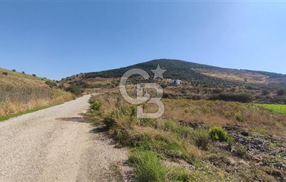 İZMİR TORBALI YENİKÖY SATILIK 2.410 M2 MÜSTAKİL TAPULU TARLA