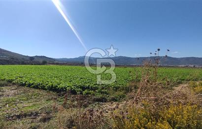 İZMİR TORBALI YENİKÖY SATILIK 2.410 M2 MÜSTAKİL TAPULU TARLA