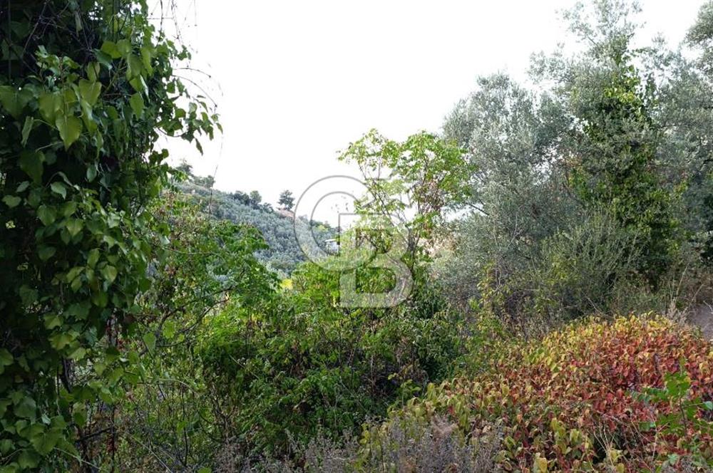 ORHANGAZİ DUTLUCA'DA 4.182 m2 SATILIK YATIRIMLIK FIRSAT ARAZİ