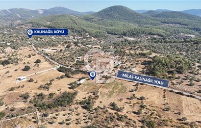 MUĞLA MİLAS KALINAĞIL KÖYÜ SATILIK 2.240M2 TEK TAPU TARLA