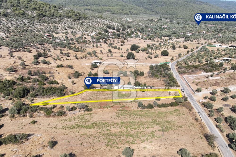 MUĞLA MİLAS KALINAĞIL KÖYÜ SATILIK 2.240M2 TEK TAPU TARLA