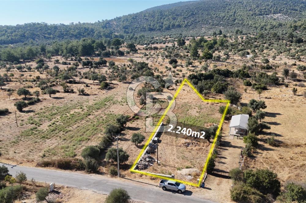 MUĞLA MİLAS KALINAĞIL KÖYÜ SATILIK 2.240M2 TEK TAPU TARLA