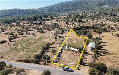 MUĞLA MİLAS KALINAĞIL KÖYÜ SATILIK 2.240M2 TEK TAPU TARLA