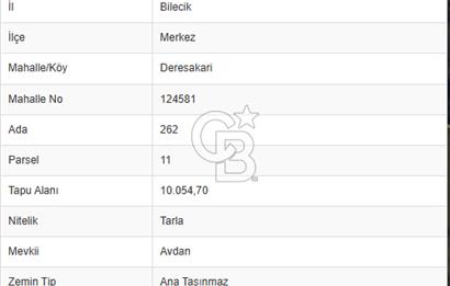 CB'DAN BİLECİK MERKEZ DERESAKKARI, 10 DÖNÜM SATILIK ARAZİ