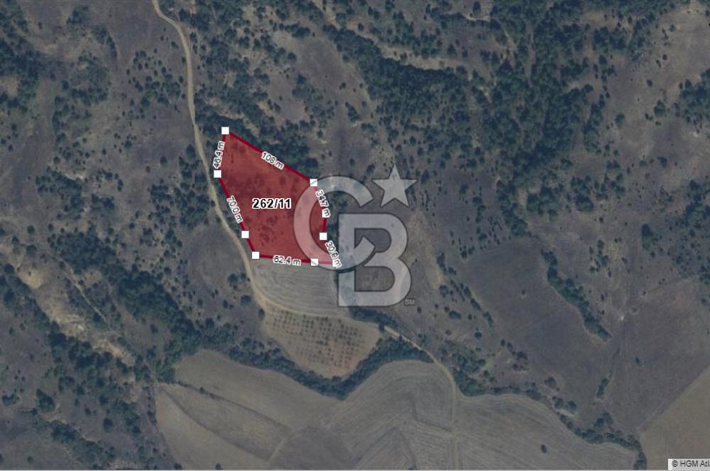 CB'DAN BİLECİK MERKEZ DERESAKKARI, 10 DÖNÜM SATILIK ARAZİ