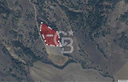 CB'DAN BİLECİK MERKEZ DERESAKKARI, 10 DÖNÜM SATILIK ARAZİ