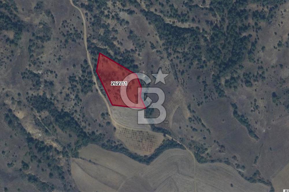 CB'DAN BİLECİK MERKEZ DERESAKKARI, 10 DÖNÜM SATILIK ARAZİ