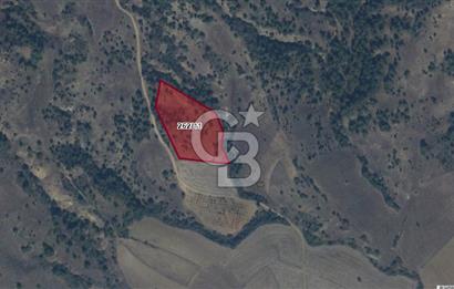CB'DAN BİLECİK MERKEZ DERESAKKARI, 10 DÖNÜM SATILIK ARAZİ