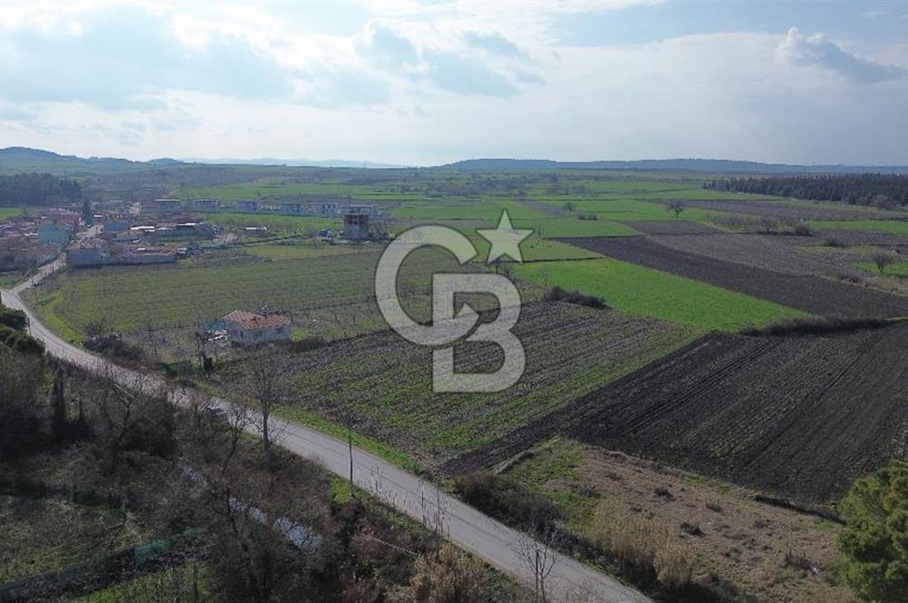 BALIKESİR ALTIEYLÜL PAŞAKÖY'DE FIRSAT SATILIK İMARLI ARSA