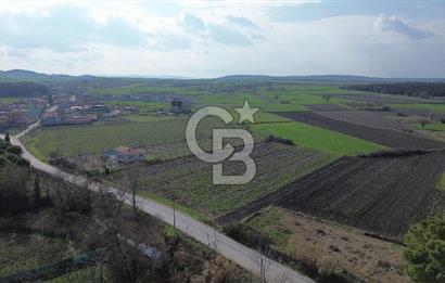 BALIKESİR ALTIEYLÜL PAŞAKÖY'DE FIRSAT SATILIK İMARLI ARSA