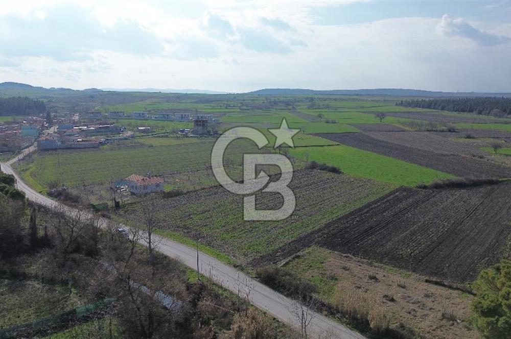 BALIKESİR ALTIEYLÜL PAŞAKÖY'DE FIRSAT SATILIK İMARLI ARSA