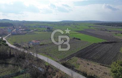 BALIKESİR ALTIEYLÜL PAŞAKÖY'DE FIRSAT SATILIK İMARLI ARSA