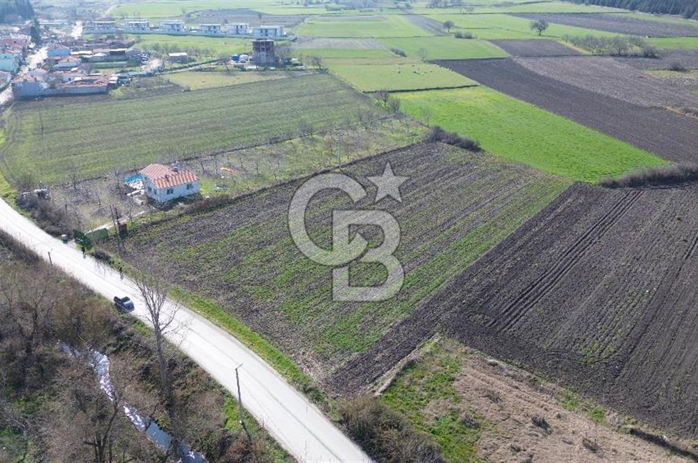 BALIKESİR ALTIEYLÜL PAŞAKÖY'DE FIRSAT SATILIK İMARLI ARSA