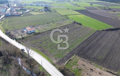 BALIKESİR ALTIEYLÜL PAŞAKÖY'DE FIRSAT SATILIK İMARLI ARSA