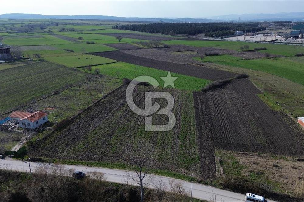 BALIKESİR ALTIEYLÜL PAŞAKÖY'DE FIRSAT SATILIK İMARLI ARSA