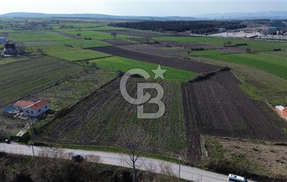 BALIKESİR ALTIEYLÜL PAŞAKÖY'DE FIRSAT SATILIK İMARLI ARSA