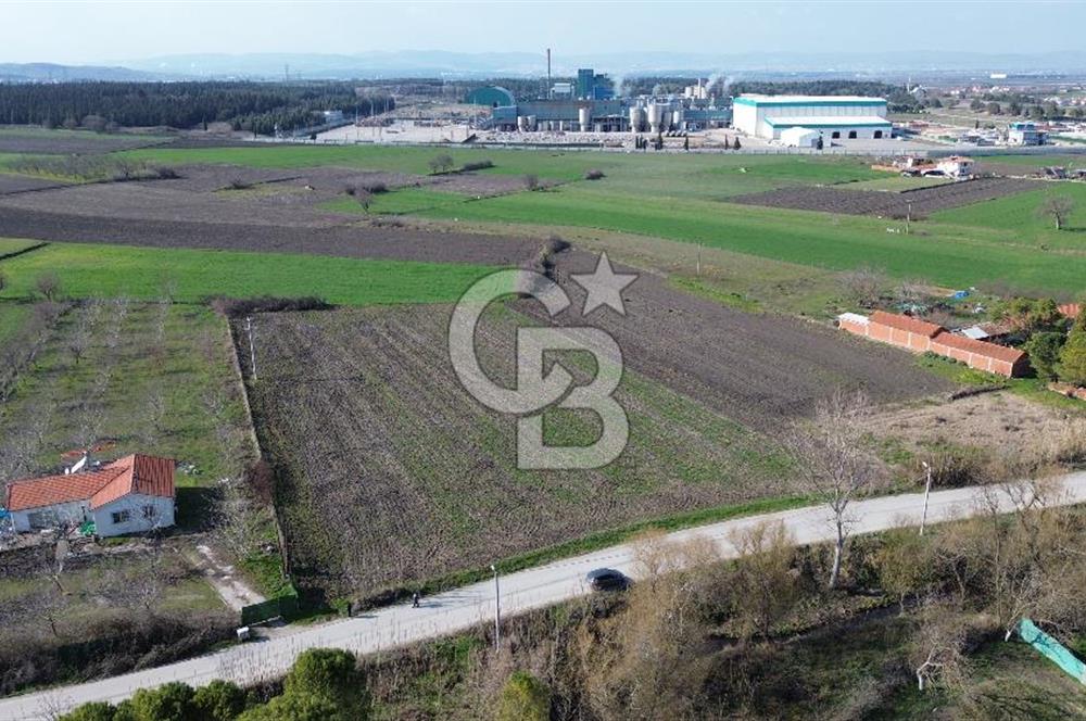 BALIKESİR ALTIEYLÜL PAŞAKÖY'DE FIRSAT SATILIK İMARLI ARSA