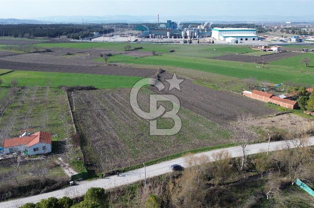 BALIKESİR ALTIEYLÜL PAŞAKÖY'DE FIRSAT SATILIK İMARLI ARSA