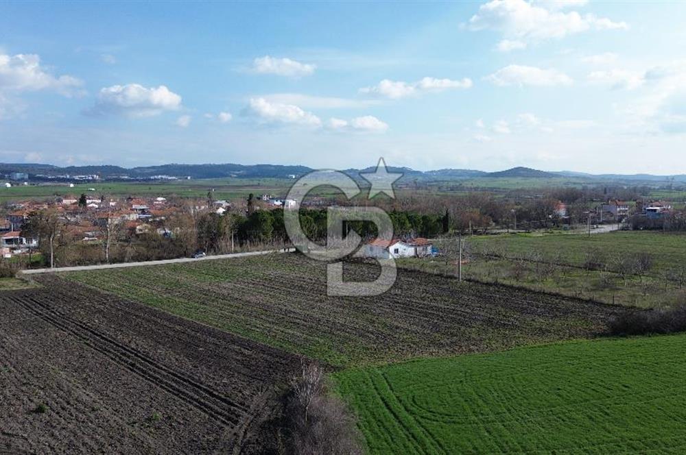 BALIKESİR ALTIEYLÜL PAŞAKÖY'DE FIRSAT SATILIK İMARLI ARSA