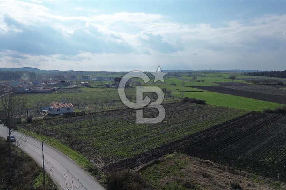 BALIKESİR ALTIEYLÜL PAŞAKÖY'DE FIRSAT SATILIK İMARLI ARSA