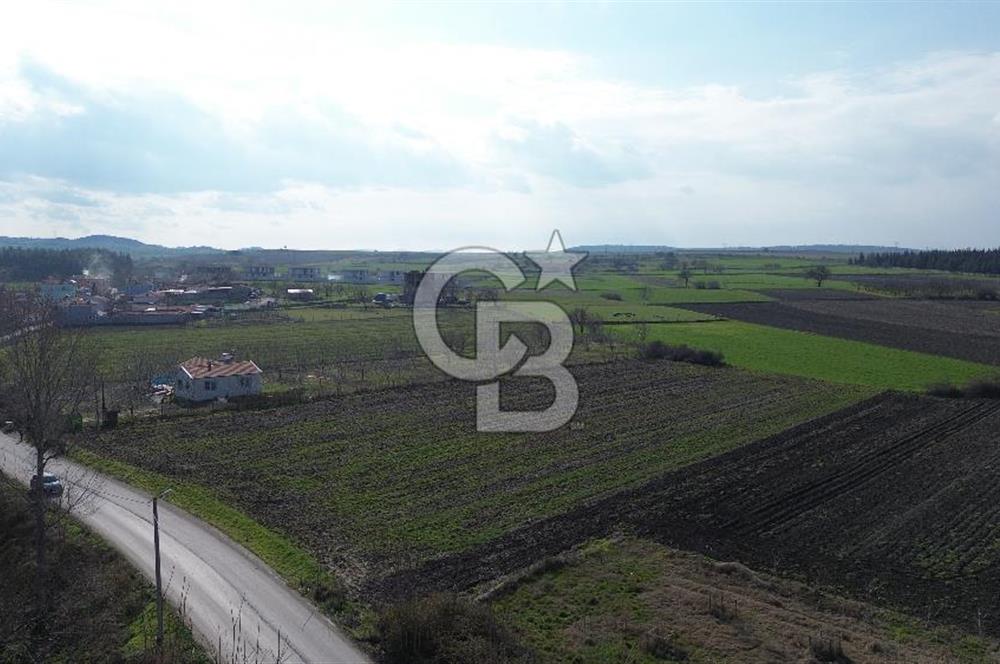 BALIKESİR ALTIEYLÜL PAŞAKÖY'DE FIRSAT SATILIK İMARLI ARSA