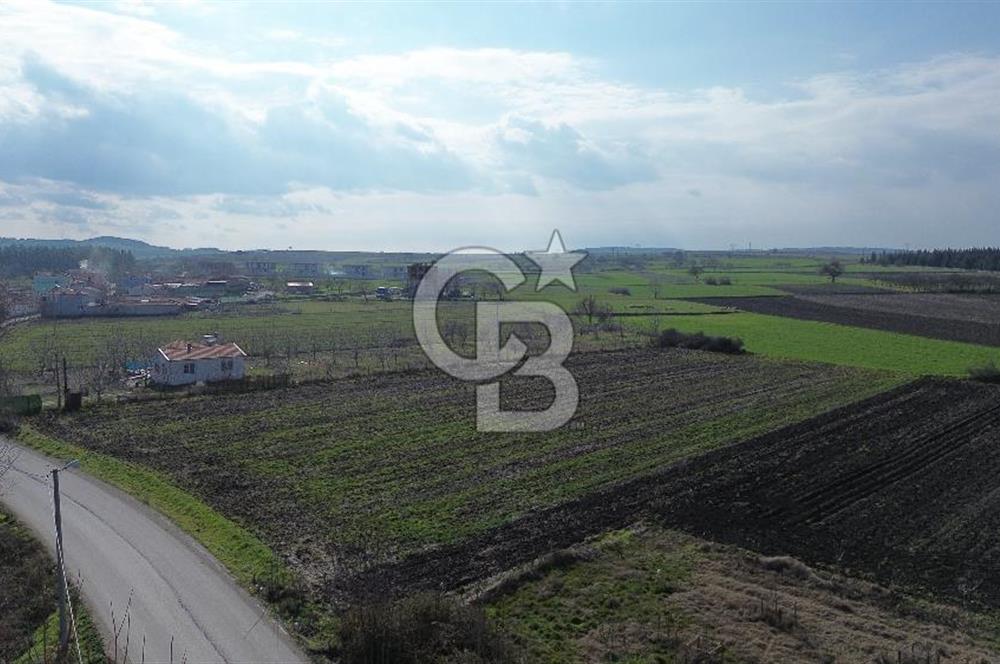 BALIKESİR ALTIEYLÜL PAŞAKÖY'DE FIRSAT SATILIK İMARLI ARSA