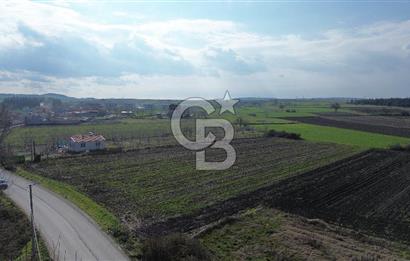 BALIKESİR ALTIEYLÜL PAŞAKÖY'DE FIRSAT SATILIK İMARLI ARSA