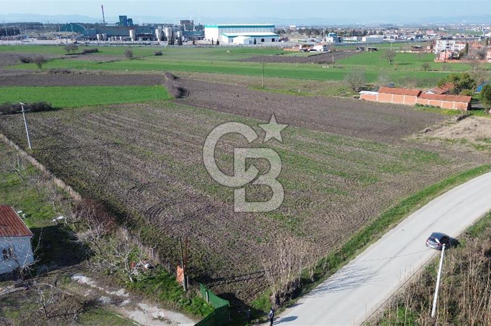 BALIKESİR ALTIEYLÜL PAŞAKÖY'DE FIRSAT SATILIK İMARLI ARSA