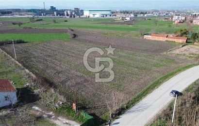BALIKESİR ALTIEYLÜL PAŞAKÖY'DE FIRSAT SATILIK İMARLI ARSA