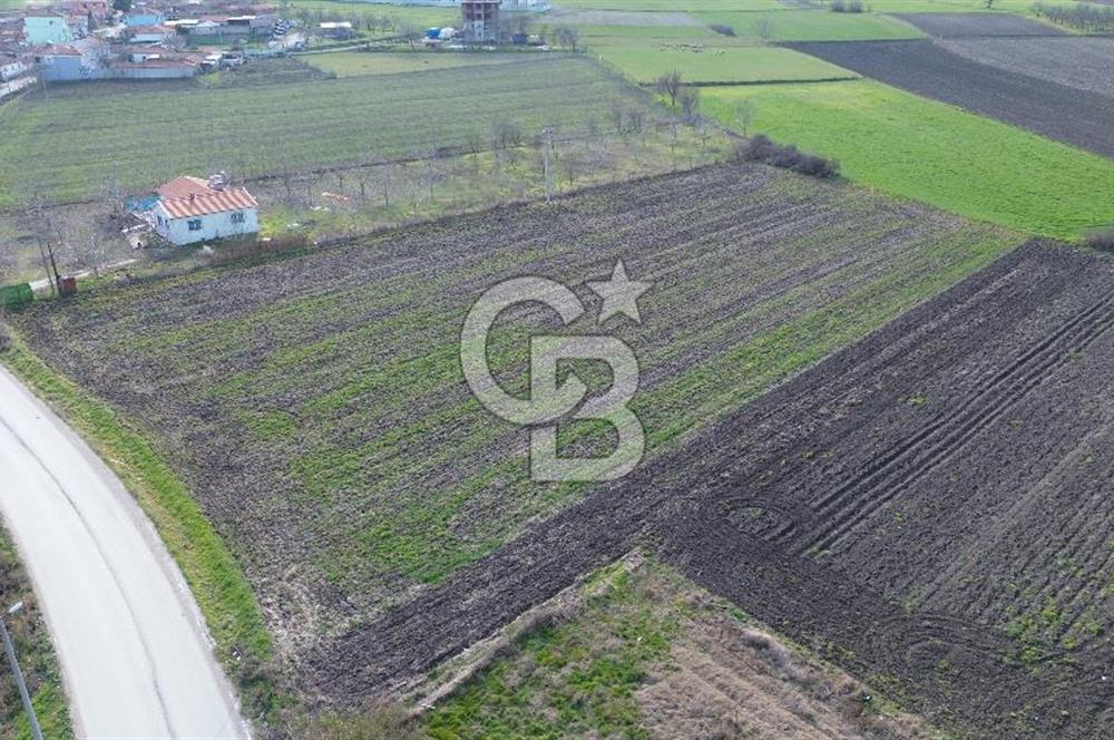 BALIKESİR ALTIEYLÜL PAŞAKÖY'DE FIRSAT SATILIK İMARLI ARSA