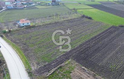 BALIKESİR ALTIEYLÜL PAŞAKÖY'DE FIRSAT SATILIK İMARLI ARSA