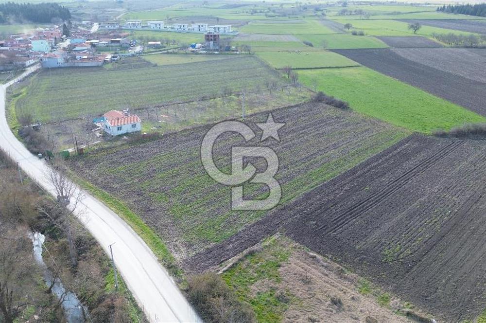 BALIKESİR ALTIEYLÜL PAŞAKÖY'DE FIRSAT SATILIK İMARLI ARSA