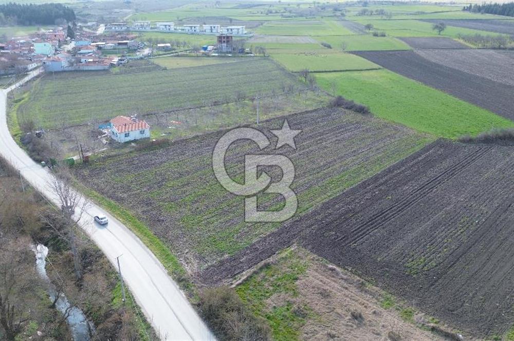 BALIKESİR ALTIEYLÜL PAŞAKÖY'DE FIRSAT SATILIK İMARLI ARSA