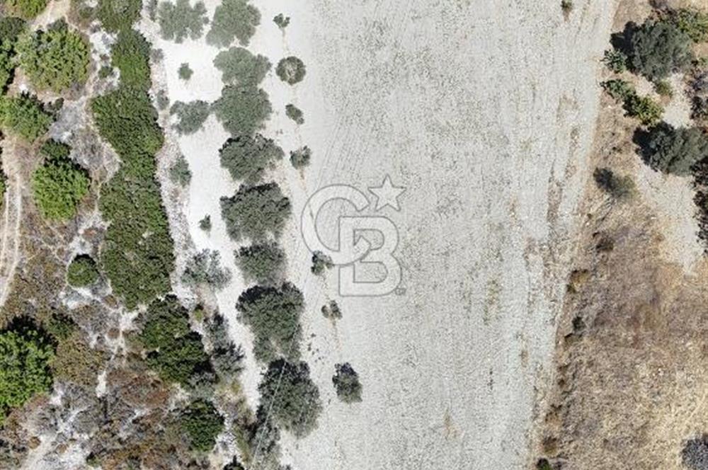 Urla Yenikent Mh. Yatırıma Uygun,  Yola Cephe Tarla 