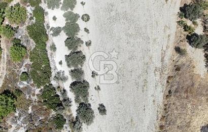 Urla Yenikent Mh. Yatırıma Uygun,  Yola Cephe Tarla 