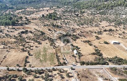 MUĞLA MİLAS KALINAĞIL KÖYÜ SATILIK 2.240M2 TEK TAPU TARLA