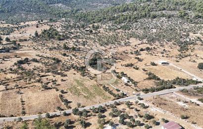 MUĞLA MİLAS KALINAĞIL KÖYÜ SATILIK 2.240M2 TEK TAPU TARLA