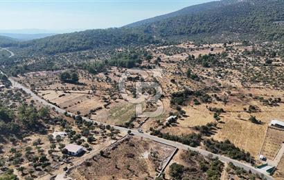 MUĞLA MİLAS KALINAĞIL KÖYÜ SATILIK 2.240M2 TEK TAPU TARLA