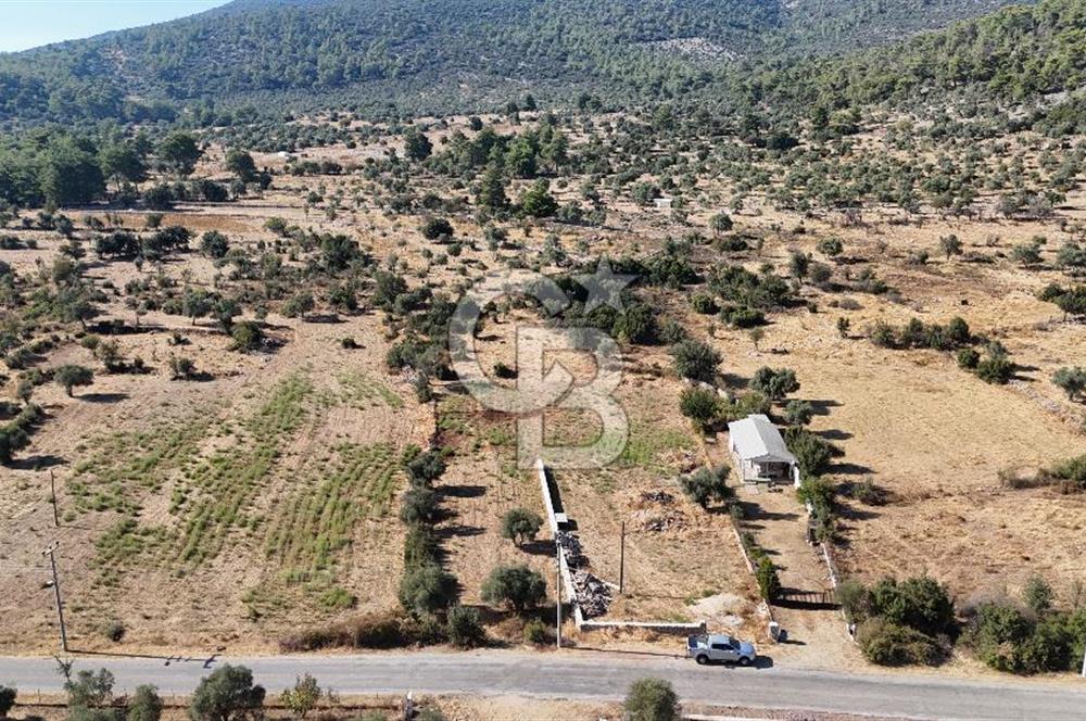 MUĞLA MİLAS KALINAĞIL KÖYÜ SATILIK 2.240M2 TEK TAPU TARLA