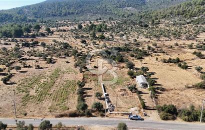 MUĞLA MİLAS KALINAĞIL KÖYÜ SATILIK 2.240M2 TEK TAPU TARLA